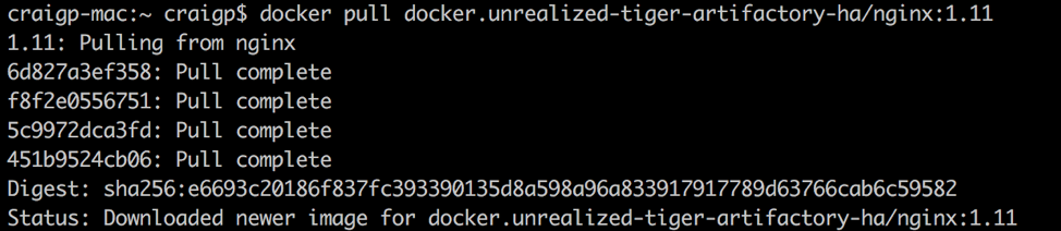 Docker本地回购