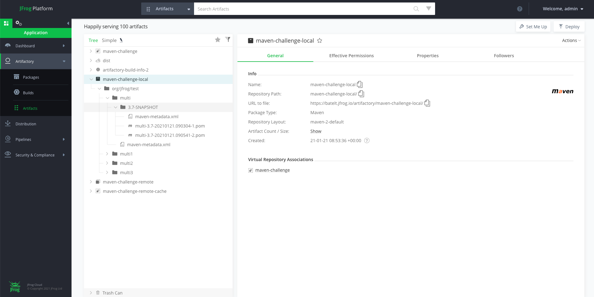 查看您的存储库- maven