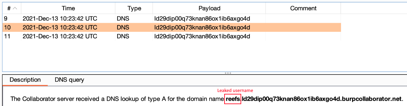 Log4shell -识别安全漏洞-泄露用户名