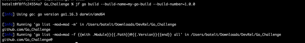 构建项目并解决项目依赖关系