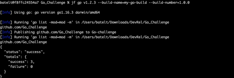 将Go包发布到Artifactory