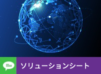 私有分销网络(PDN)